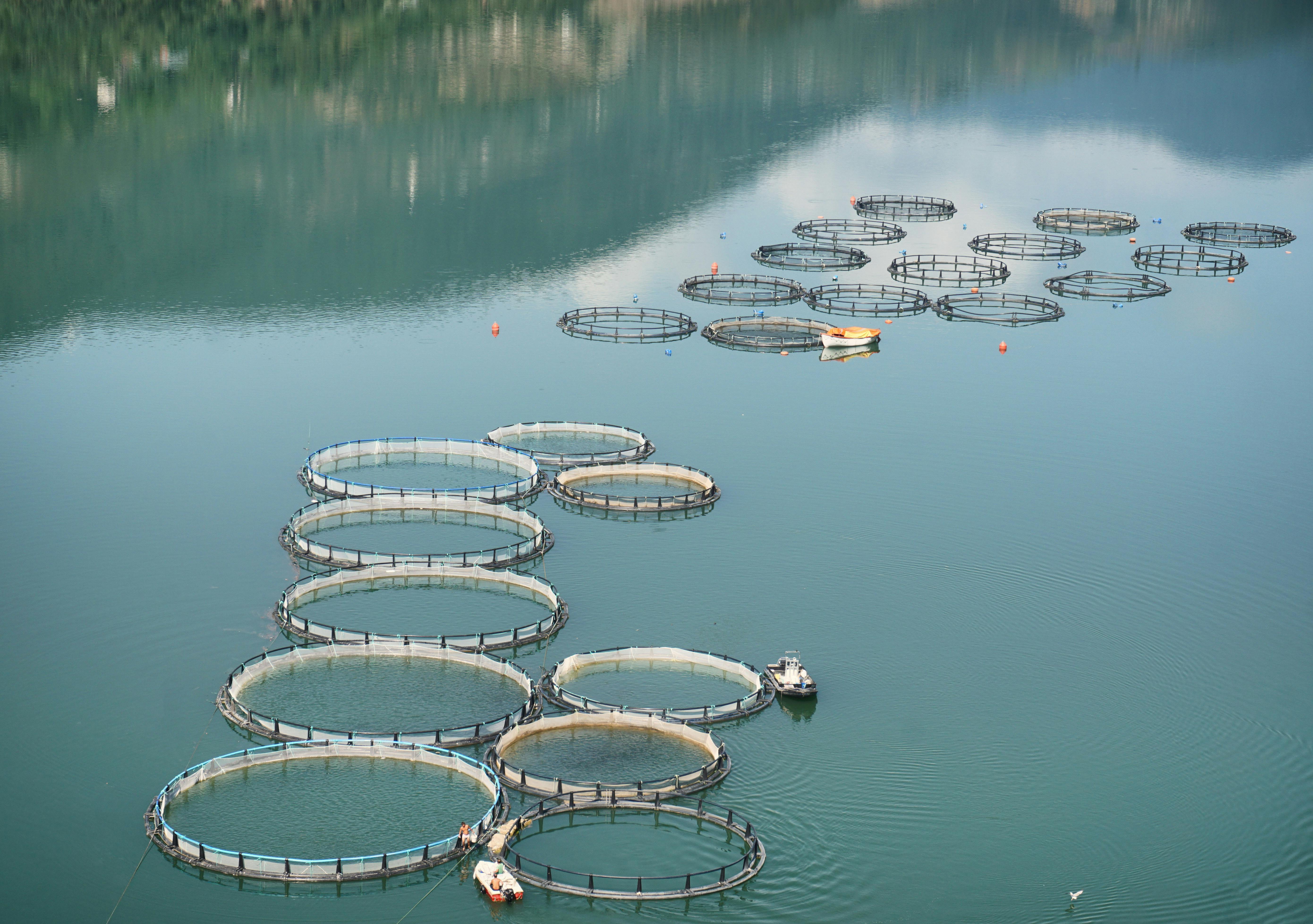 Aquaculture